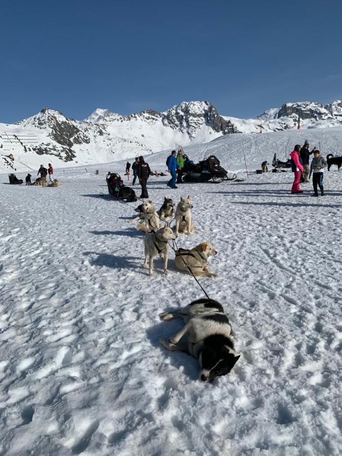 Bel Appartement Ski Aux Pieds Plagne Bellecote La Plagne Eksteriør bilde