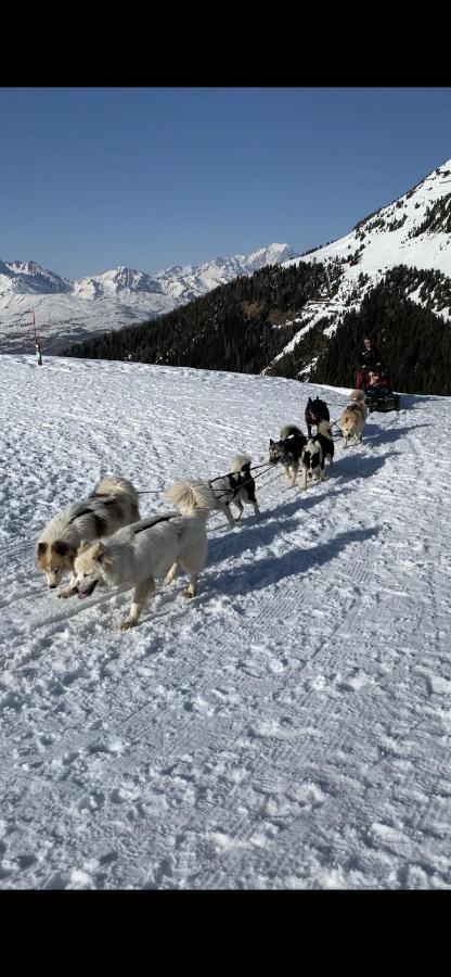 Bel Appartement Ski Aux Pieds Plagne Bellecote La Plagne Eksteriør bilde