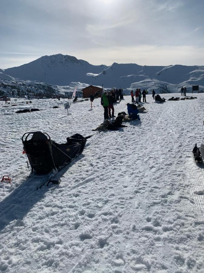 Bel Appartement Ski Aux Pieds Plagne Bellecote La Plagne Eksteriør bilde